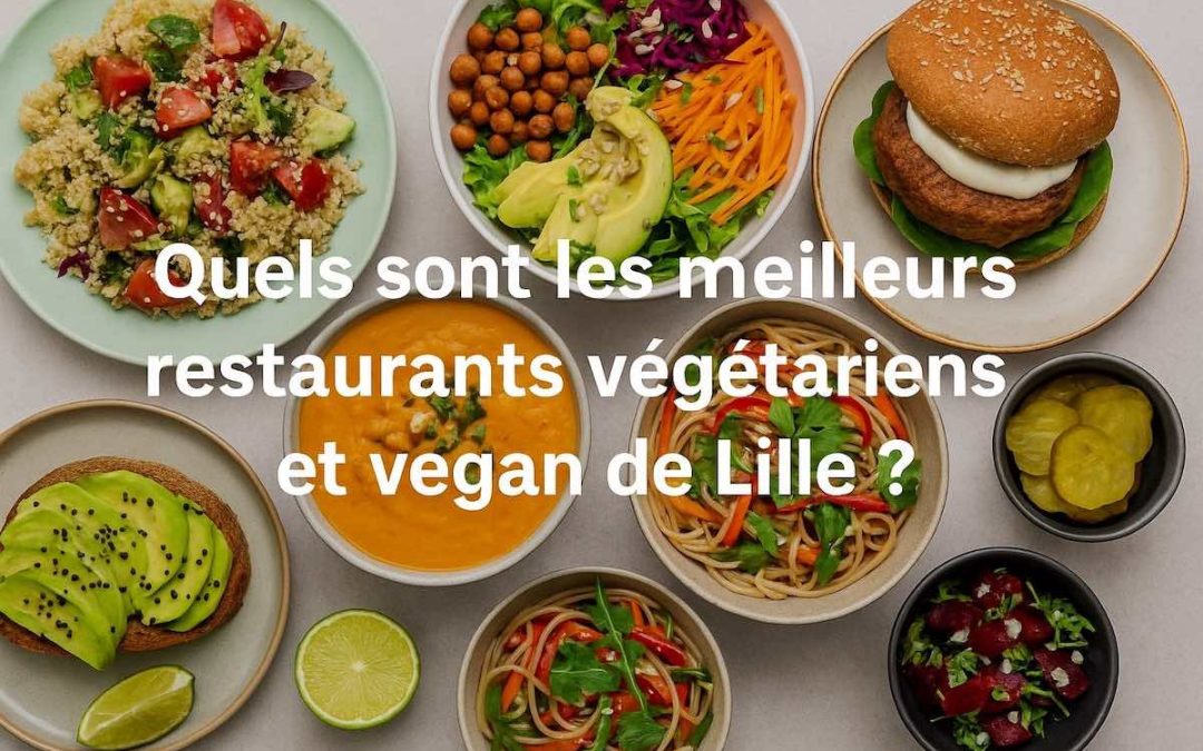 Quels sont les meilleurs restaurants végétariens et vegan de Lille ?