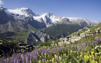 Randonnée en montagne : les 5 plus beaux sentiers du Parc national des Écrins
